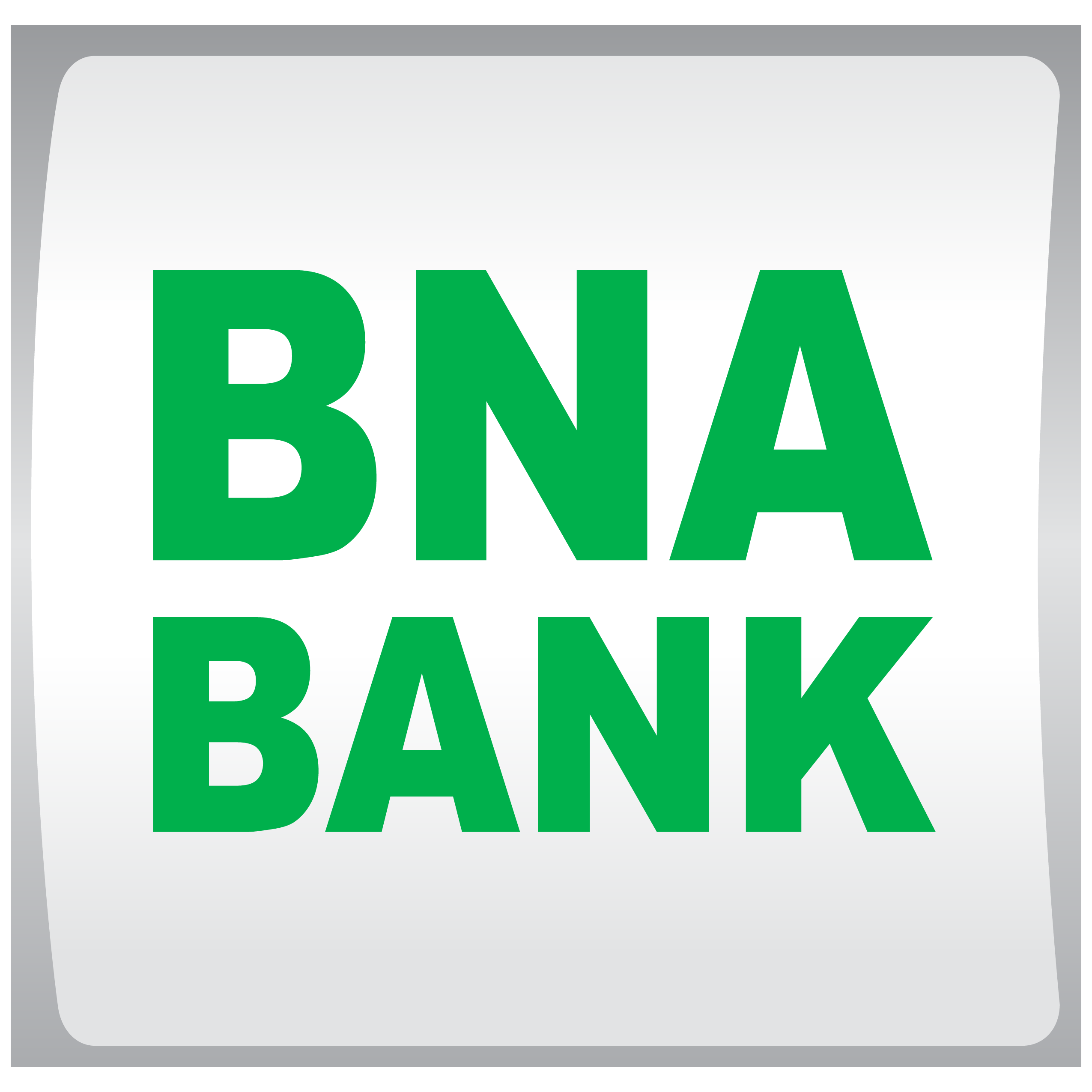 Indicateurs d'activité au 31/12/2021 de la BNA