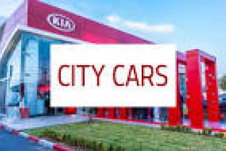 Résolutions adoptées par l’AGO de la société CITY CARS du 22/06/2023