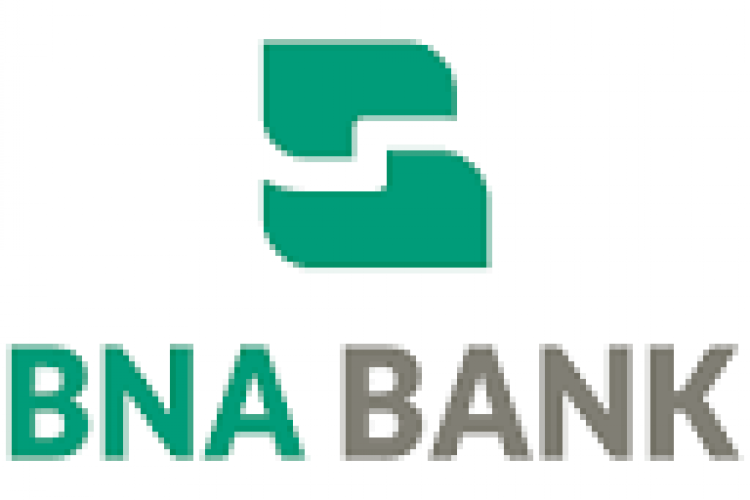 Etats financiers annuels individuels au 31/12/2024