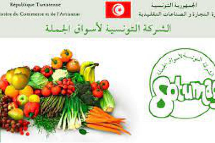 Etats financiers annuels individuels au 31/12/2024