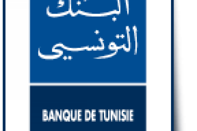 Etats financiers annuels consolidés au 31/12/2024