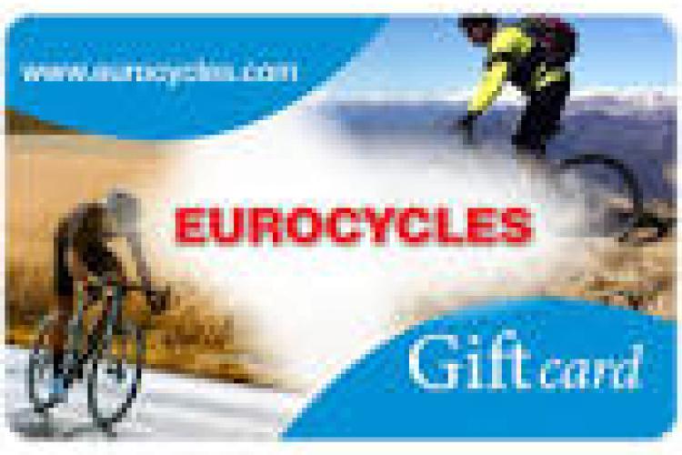 Etats financiers annuels au 31/12/2024