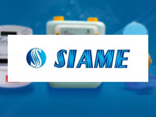 siame