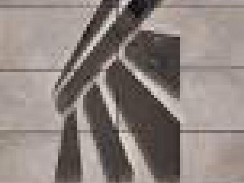 Daily du 08/03/2022