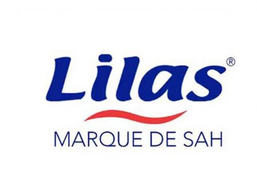 SAH Logo