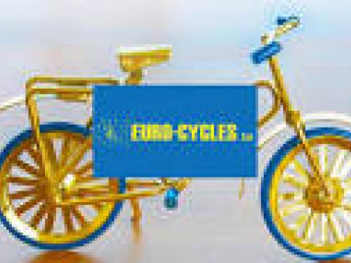 Etude relative à la valeur Euro-Cycles
