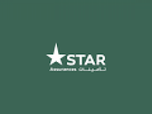  Etats financiers annuels consolidés au 31/12/2024
